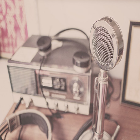 aldus translation solutions