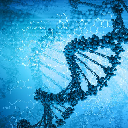 life sciences translation